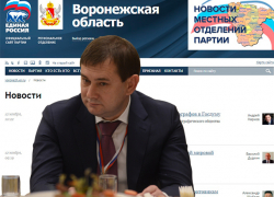Новости воронежской "Единой России" сравнили с терапией чиновничьего цинизма 