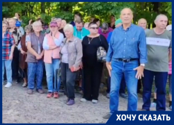 «Уже начинают вырубать», - воронежцы призвали спасти лес около Нагорной дубравы