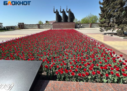 Парковку запретят у Чижовского плацдарма в Воронеже