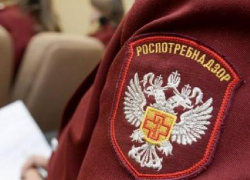 Ясли в центре Воронежа вновь закрыл Роспотребнадзор