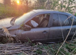 Пьяный водитель улетел в кювет в Воронежской области