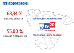 Приближаемся к 70%: озвучена свежая явка избирателей по Воронежской области 