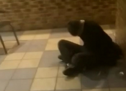 Последствия кровавой бойни в магазине сняли в Воронеже 