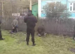 На видео попал момент задержание группировки воров воронежскими полицейскими