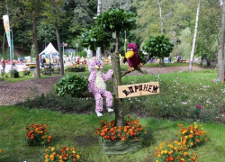 Итоги ландшафтной выставки-ярмарки «Воронеж-Сад»: новый формат и творческие встречи порадовали воронежцев