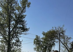 Три дня дождя: прогноз погоды в Воронеже