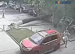 Девушка чудом уцелела после падения огромного дерева в центре Воронежа