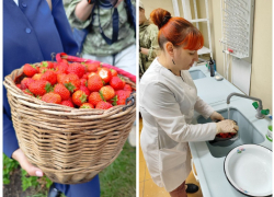 Как в Нововоронеже клубнику на радиоактивность проверяли