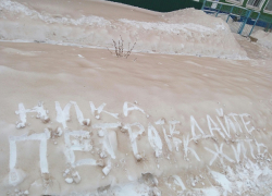 Семилукцы и Ника-Петротэк разошлись в оценке коричневого снега