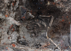 Мэрию предупреждали! Накануне 9 Мая останки бойца ВОВ случайно выкопаны на стройплощадке Воронежа