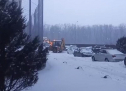  Большой петушок работает: воронежцы взялись за лопаты по совету депутата Сысоева