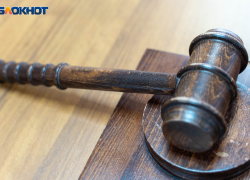 Владельцы мусорных полигонов нарвались на штрафы в Воронежской области