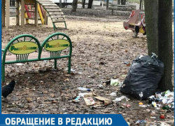 Хочется пристыдить власти за помойку на детской площадке! – жительница Воронежа