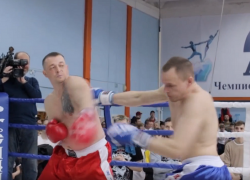 Бойцовский турнир в Воронеже посвятили памяти Владимира Жириновского 