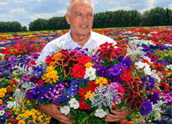 Аннинский Василий Авдеев перещеголяет Воронеж: заказал посадку почти 50 тыс цветов против 10 тыс в областном центре