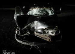 Ребенок и женщина погибли в массовом наезде на пешеходов в Воронежской области