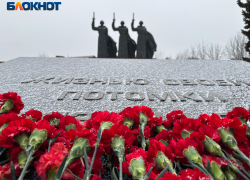 Здесь решалась судьба города: как выглядит Чижовский плацдарм на месте кровавых боев за Воронеж