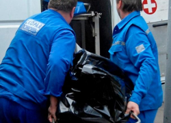 За остановкой на Левом берегу Воронежа нашли труп женщины 