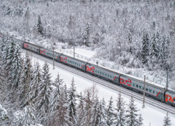 Новые поезда из Москвы в Воронеж запустят в новогодние праздники 