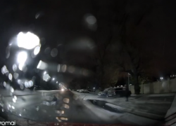 Пес едва не попал под колеса машины в Воронеже