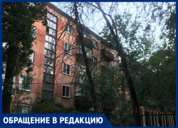 Вонь, пожары и блохи: чем живет неприметная пятиэтажка на воронежском Машмете 