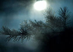 В селе Воронежской области насмерть замерз мужчина