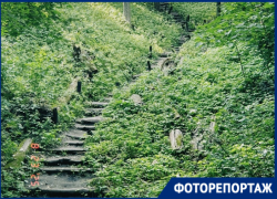 Водная гладь, Белая гора и дуб, который застал Пушкина: как построить маршрут эко-тропы за 0 рублей по окрестностям Воронежа  