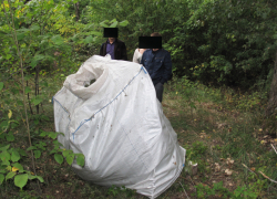 В Воронежской области наркополиция в поле нашла тайники с 75 кг марихуаны
