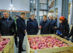 Под Воронежем сын «острогожского помещика» показал Гордееву свое фруктохранилище