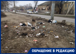 «Стыдно за свой город»: найдено место, где привычка оказалась сильнее любви к Воронежу