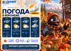 Осень радует: прогноз погоды в Воронеже