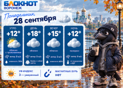 Холода приближаются: прогноз погоды в Воронеже