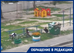 Жители Машмета ущемили детей ради своего комфорта