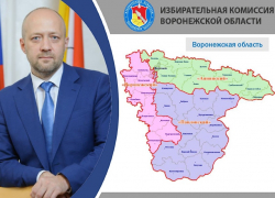 Один избирательный округ на выборах в Госдуму «забирают» у Воронежской области 