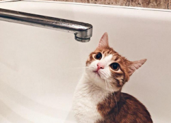 17 домов остались без холодной воды в воронежском микрорайоне Придонской 