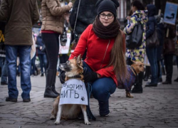 Сотни воронежцев пришли к памятнику Белому Биму с фотографиями убитых питомцев 