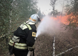 Сысоев и Шабалатов бросили вызов Минобороне из-за пожаров вокруг полигона Погоново 