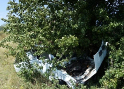 ВАЗ с дедушкой за рулем и ребенком внутри улетел в дерево после ДТП на воронежской трассе 