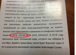 Общественные деятели выступили за открытие «горячей линии» по нарушениям на выборах мэра Воронежа
