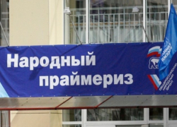 Воронежская "Единая Россия" наметила победителей праймериз на выборы в Госдуму