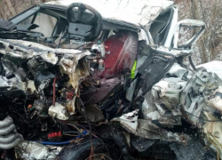 Жуткие последствия ДТП с «Газелью» и фурой показали в Воронежской области 