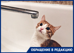 Квест с кастрюлями и бегом по кругу устроили коммунальщики жителям Воронежа