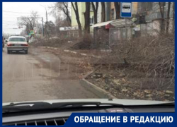 Брошенные на воронежской улице сухие ветки возмутили воронежцев