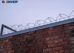 Женщину отправили в колонию за годовое избиение приёмных малышек под Воронежем 