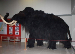 Музей «Костенки» в Воронежской области открывает сезон