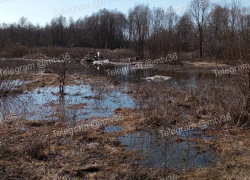 Вывалили мусор прямо в реку: под Воронежем ищут тех, кто устроил свалку в Усмани