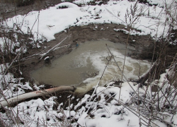 Пока идет суд, промышленные стоки продолжают круглосуточно отравлять почву, - гендиректор ООО «ЛОС» 