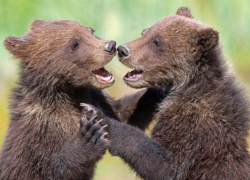 «Перевесло» в Воронеже актуализировало спор славян Виктора Масько и Андрея Маркова