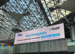 Воронежцы застряли в аэропорту Внуково из-за ограничений на вылет и прилет самолетов