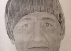 На юго-западе Воронежа педофил надругался над двумя 10-летними девочками